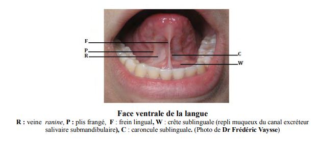 - Lever le voile sur la ⁣chirurgie pédiatrique du frein lingual : Exploiter​ les choices modernes et prometteuses ⁣pour un traitement optimal