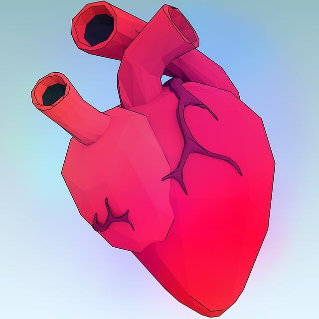 Remplacement​ des⁤ Valves Cardiaques,