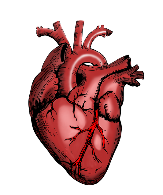3. Vers une guérison prometteuse: Les‍ dernières percées⁢ et avancées médicales ‌dans la chirurgie de réduction ‌de volume pulmonaire pour offrir de nouvelles opportunités ⁢de traitement