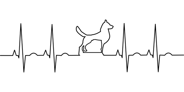 Electrocardiogramme,