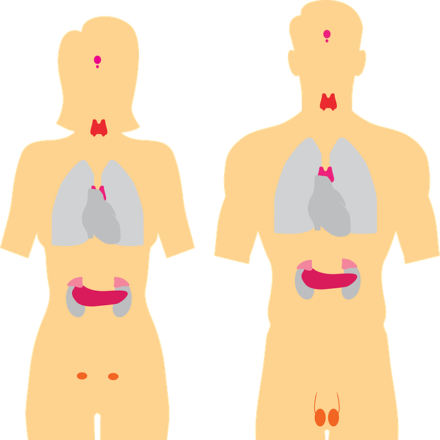 Une approche holistique ⁤pour retrouver l'équilibre thyroïdien naturellement